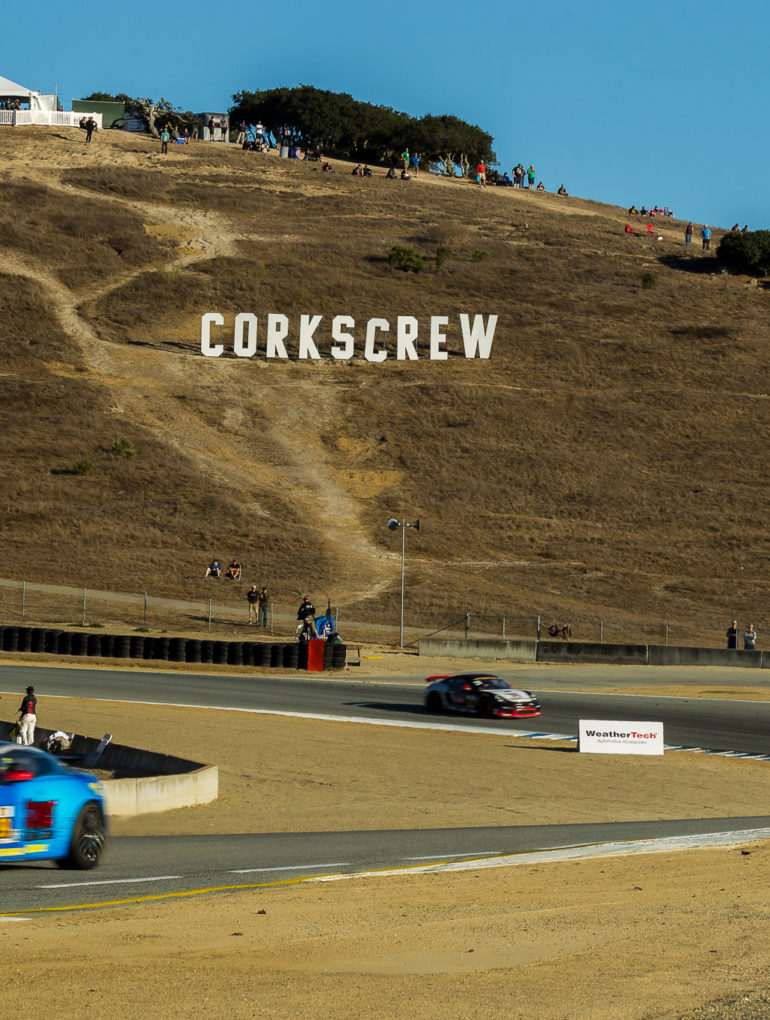 Iconic Corkscrew